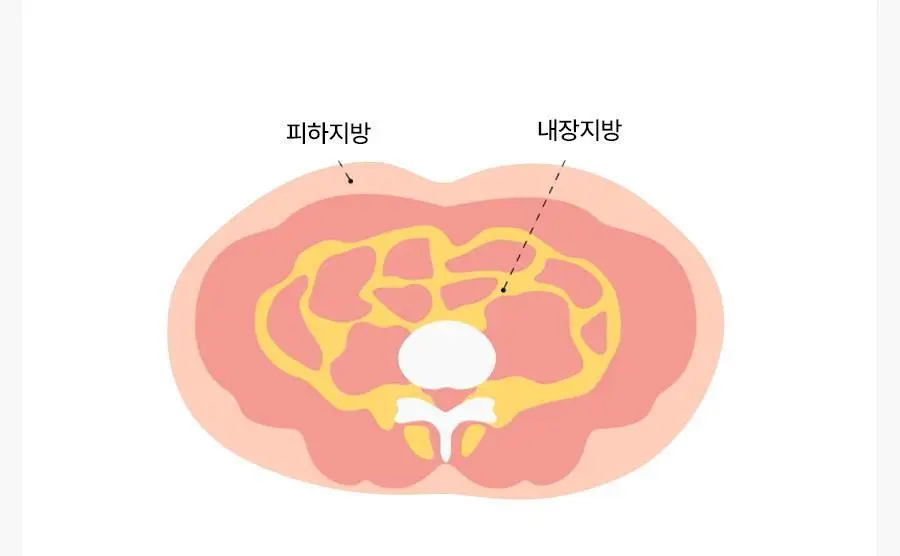 [헬로키티콜라보] 콜레올로지 컷팅 젤리 레몬/키위/석류 10+2포 기획 상세페이지 34